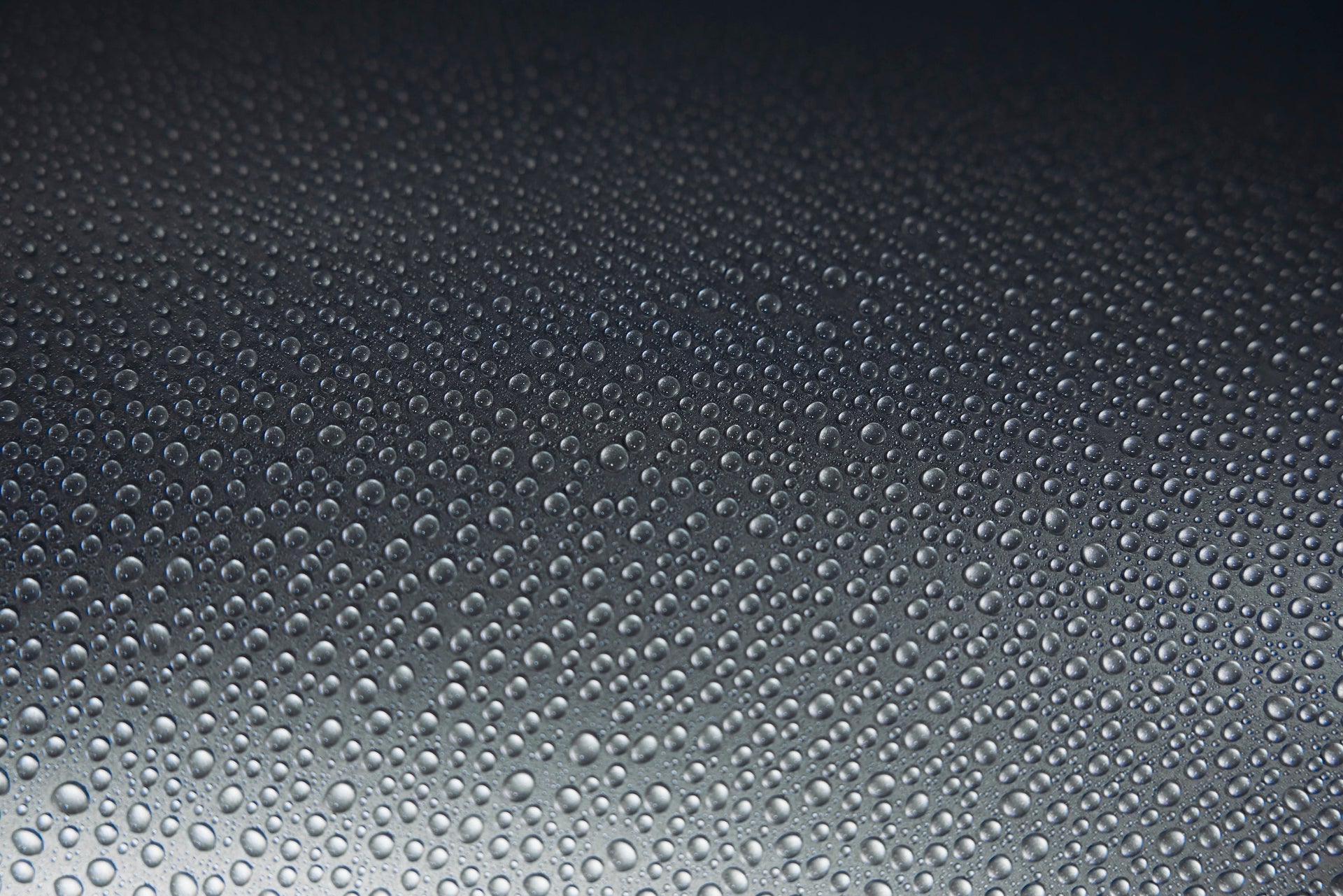 Choosing the Right Paint Protection: Wax, Ceramic, or Paint Protection Film (PPF)?
